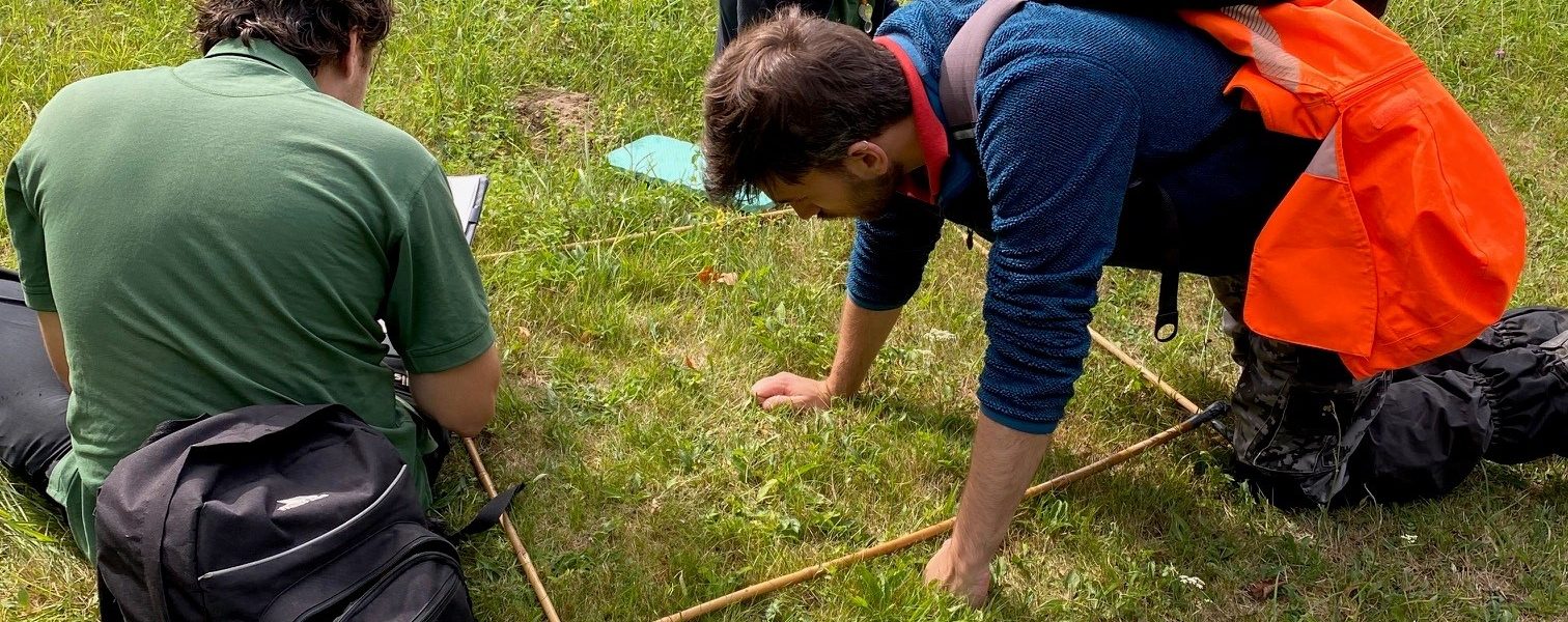 Herefordshire Wildlife Trust surveying Checkley Common
